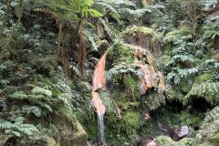 Azoren_2025_55