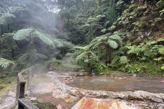 Azoren_2025_56